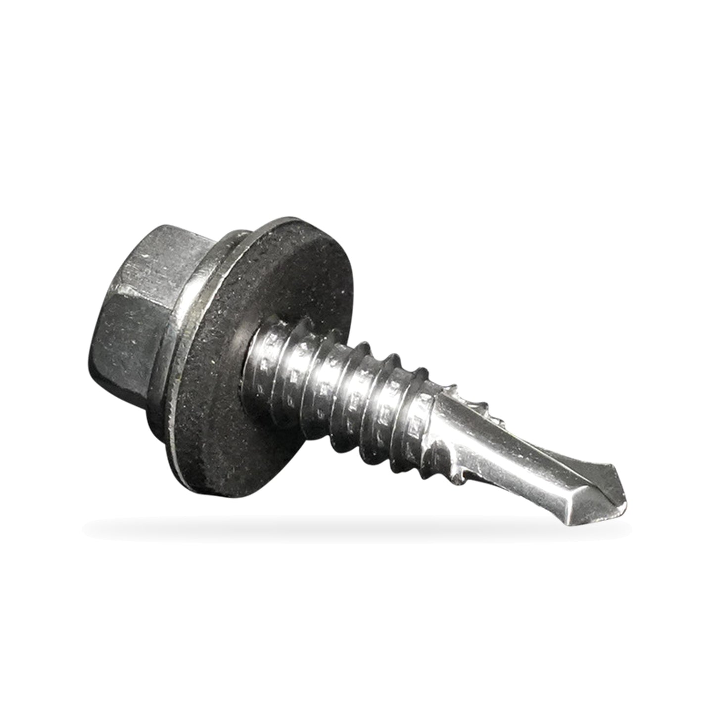Stainless 1/4" x 1" Hinge Tek Screws