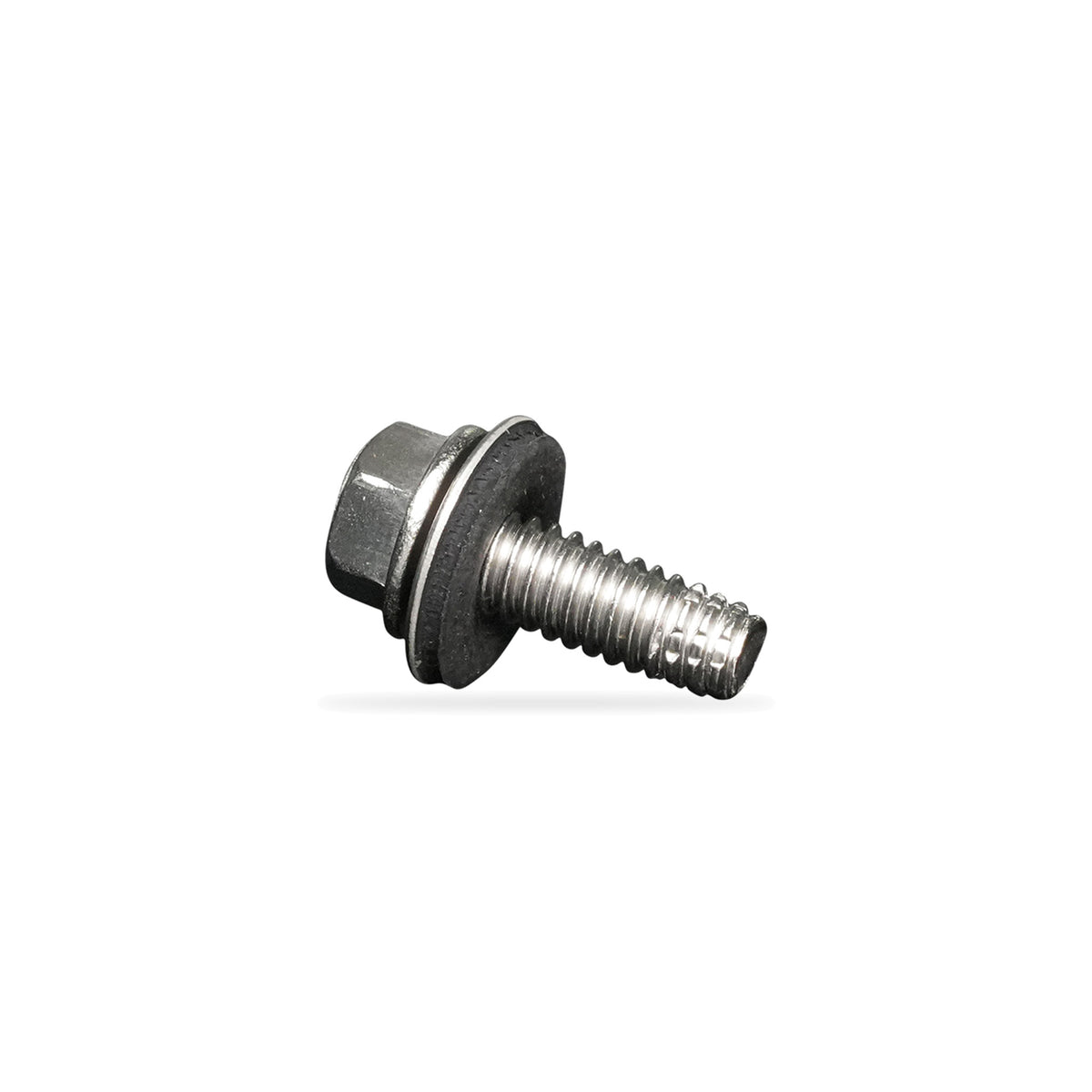 Stainless Steel Hinge Screw | TAPS141W